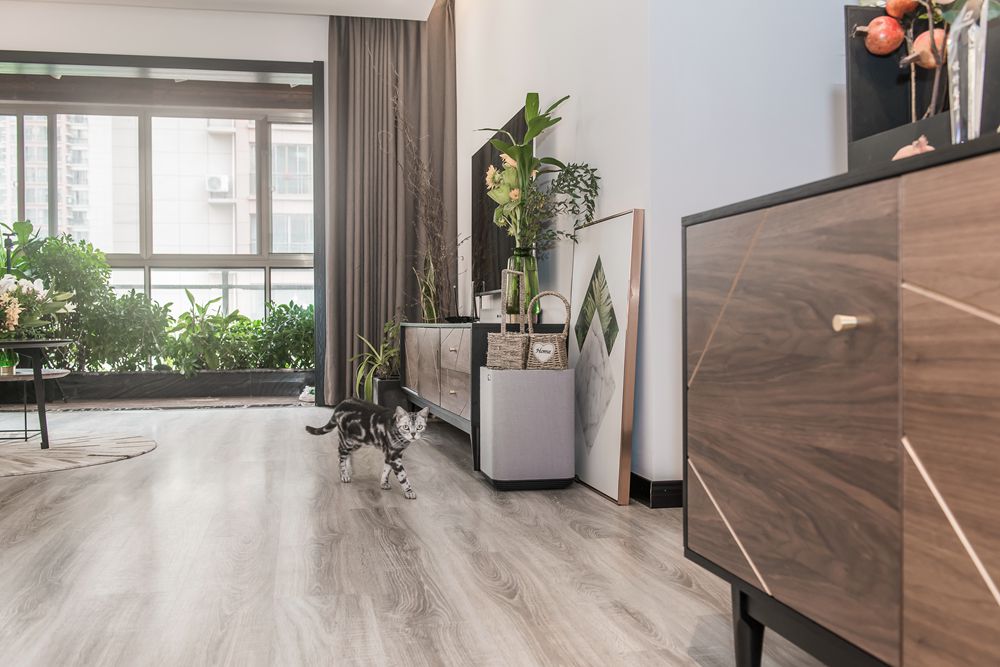 子蘭生活規(guī)劃師—文邱竹子