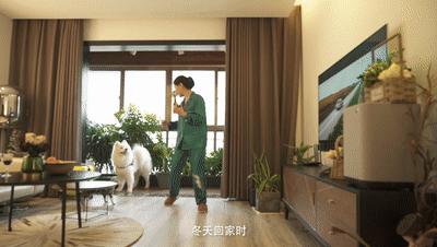 子蘭生活規(guī)劃師—文邱竹子